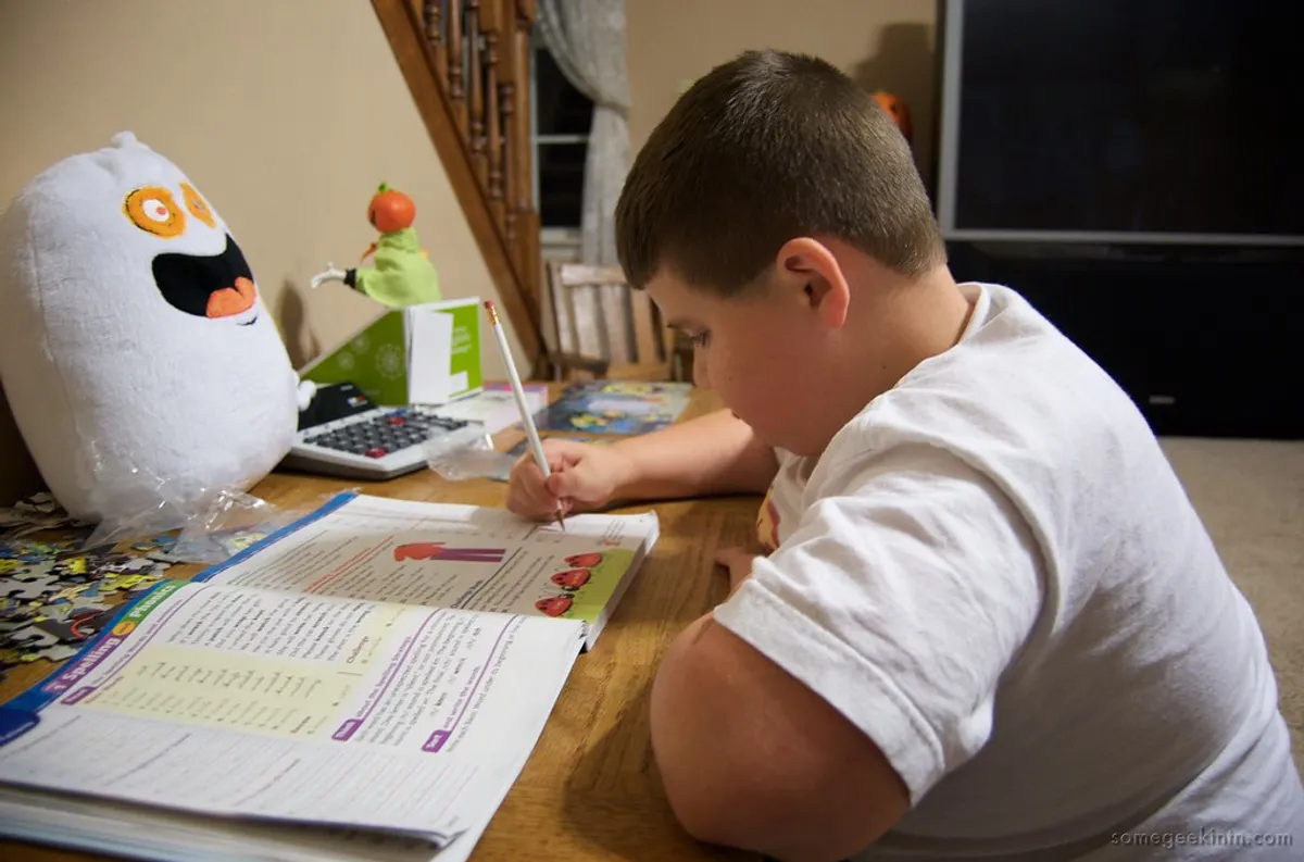 How to Choose an Electronic Dictionary for Elementary Schoolers: Comparison Points and Our Family's Decision