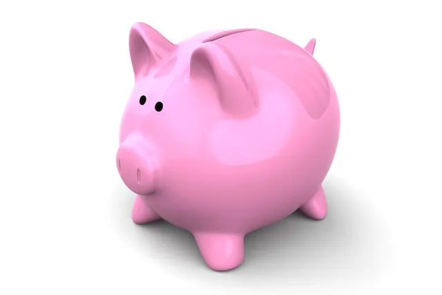 "Growing" Your Rakuten Points: Comparing Point Interest, Point Investment, and R-stock